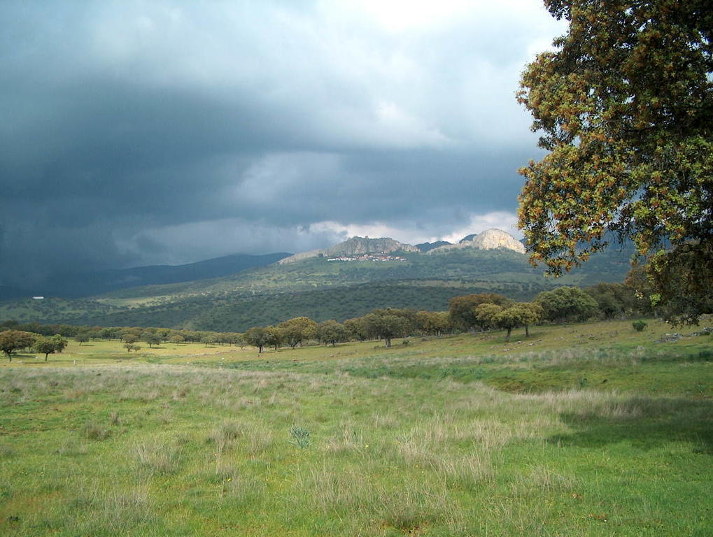 Appartamento El Nido De La Collalba Cabañas del Castillo Esterno foto